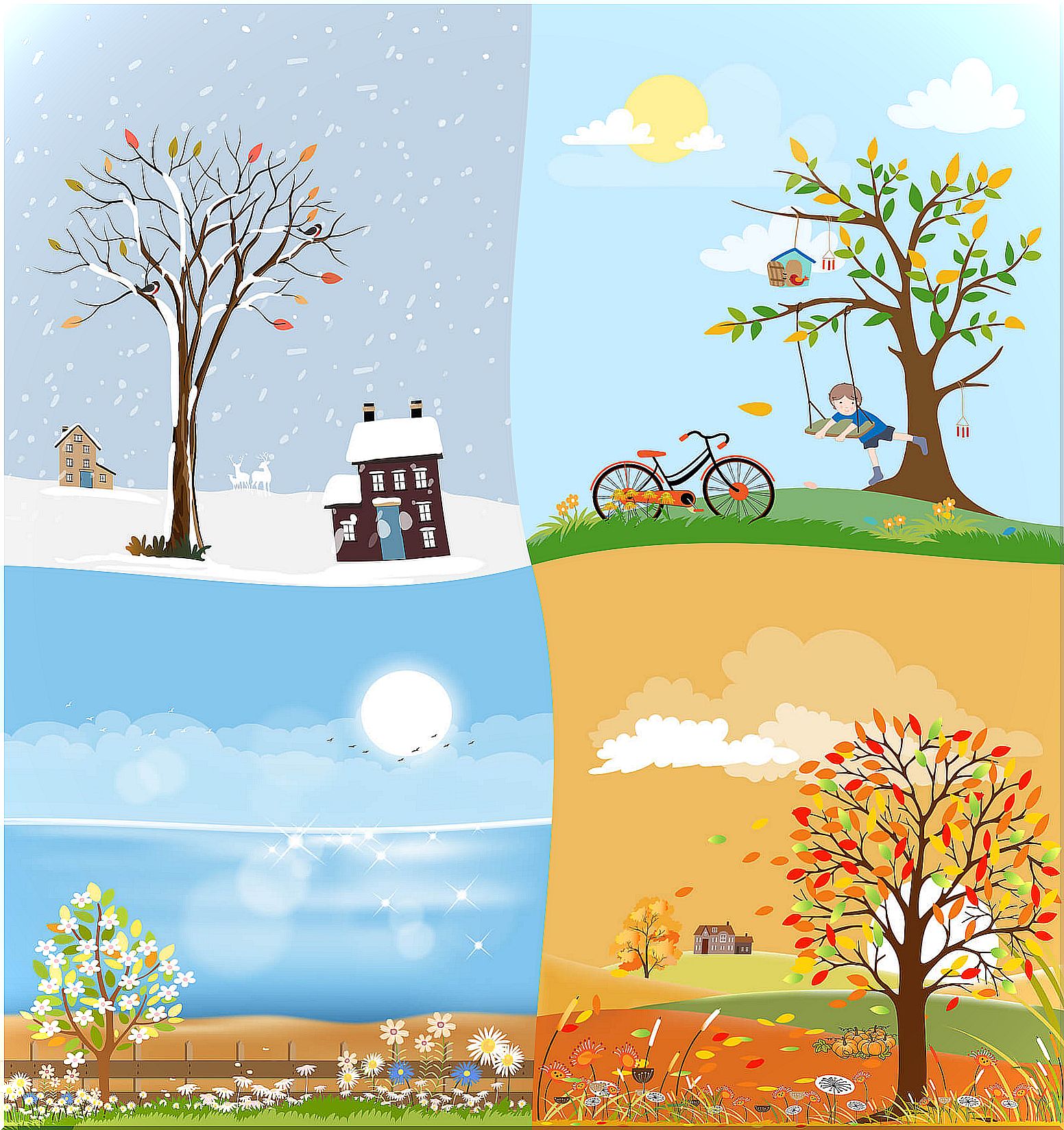 Trees showing the seasons of the year.