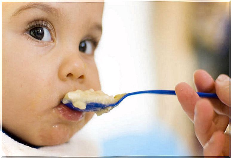 The first foods you should give your baby