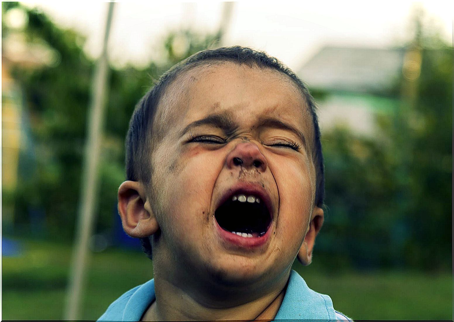 The three components of childhood anger